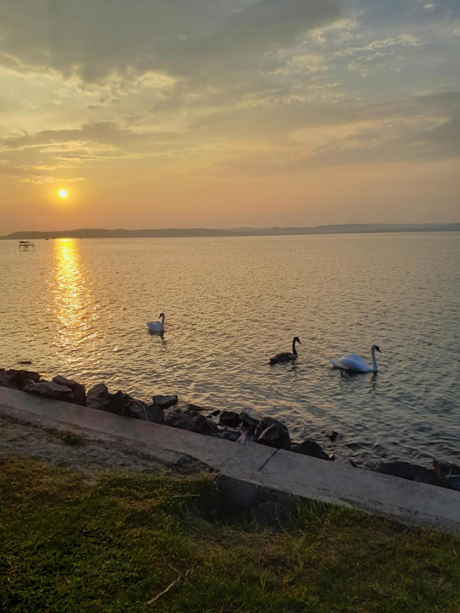 Traumlage Direkt Am See Balatonszárszó Εξωτερικό φωτογραφία
